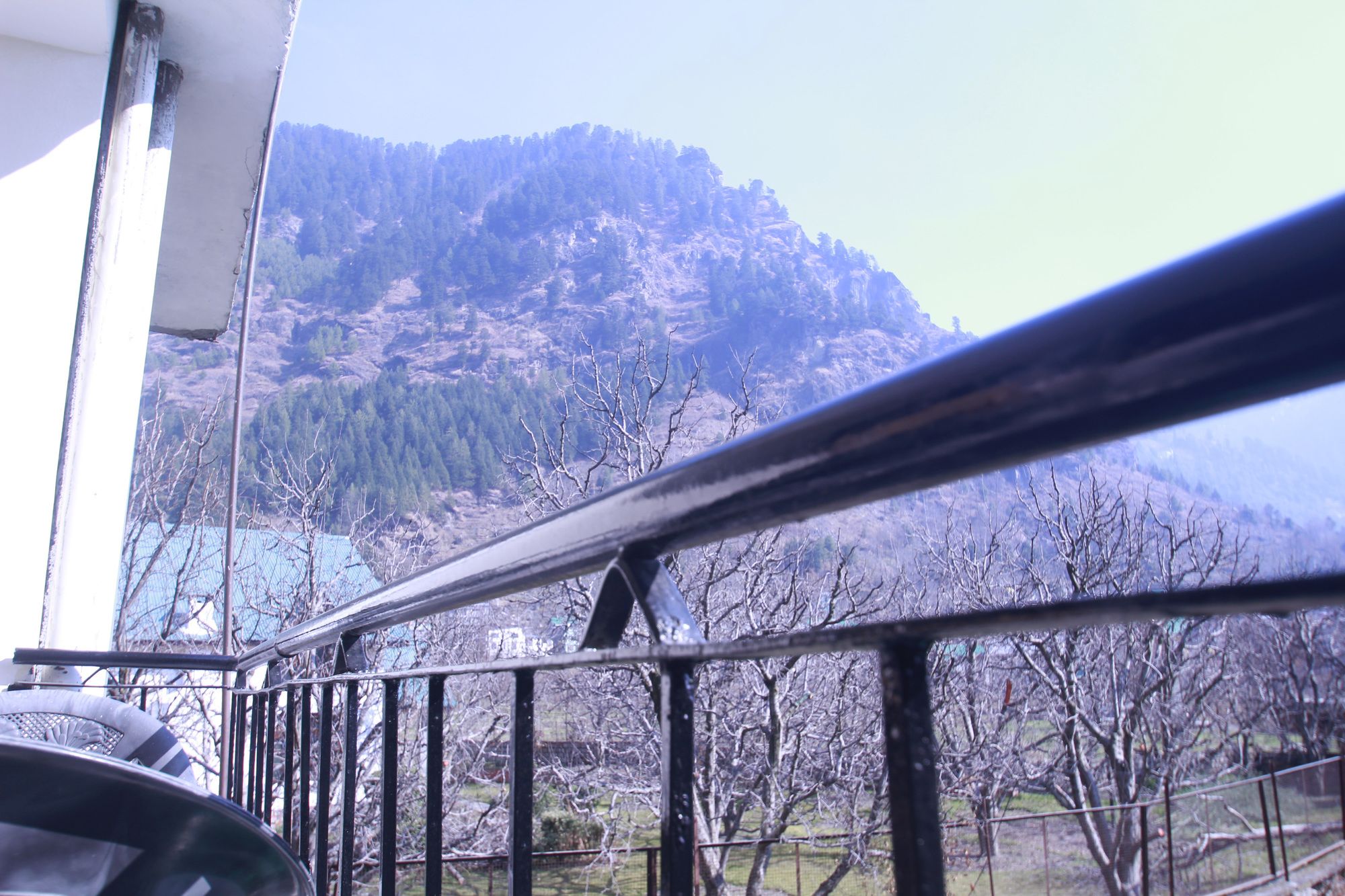 Hotel Chandertal Manali
