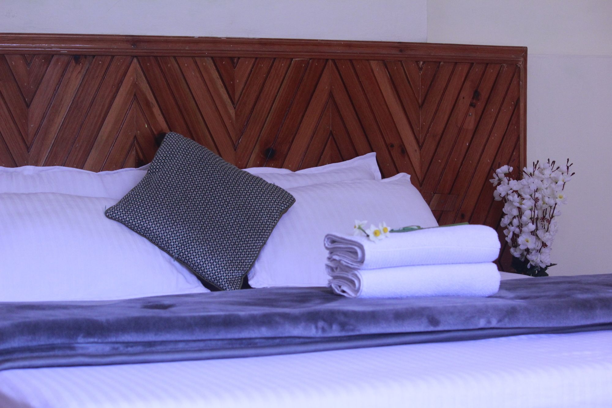 Hotel Chandertal Manali