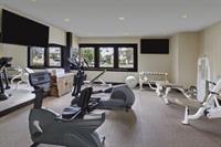 Billede av hotellet The Ambrose Hotel Santa Monica - nummer 1 af 44
