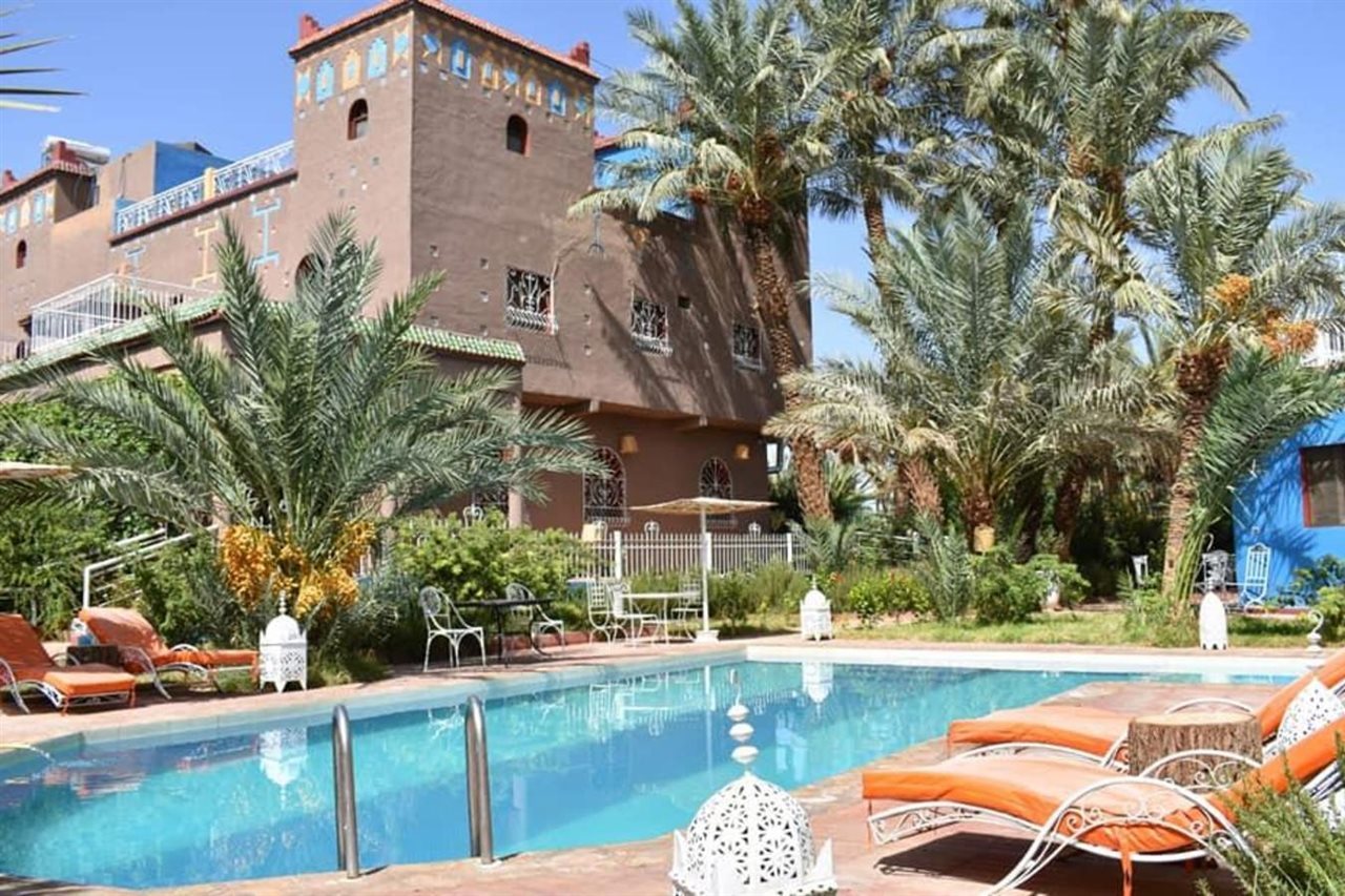 Zagora palms