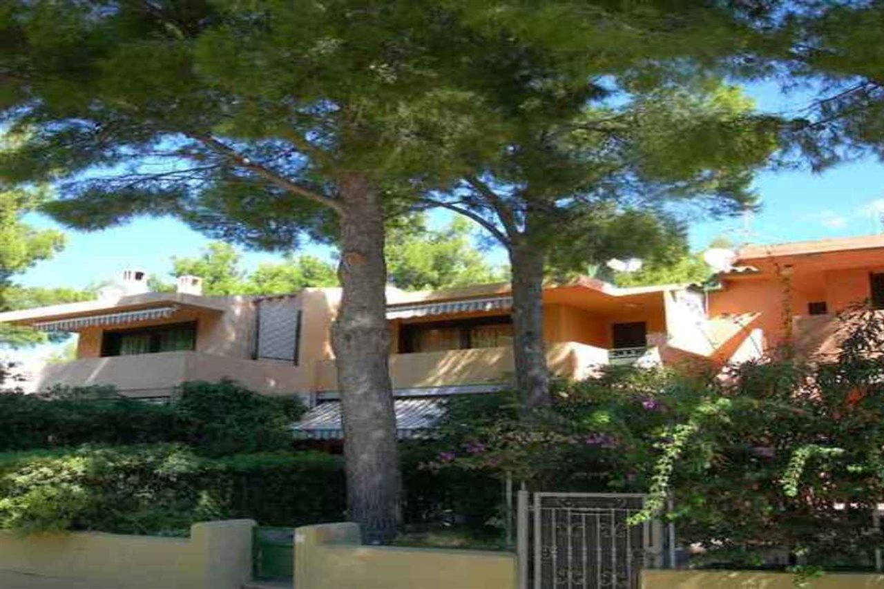 La Pineta