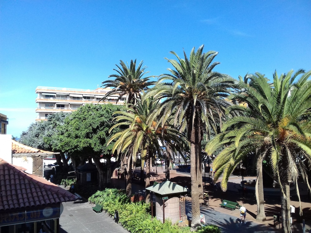 Hotel Tropical