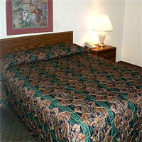 Travel Inn Rockford