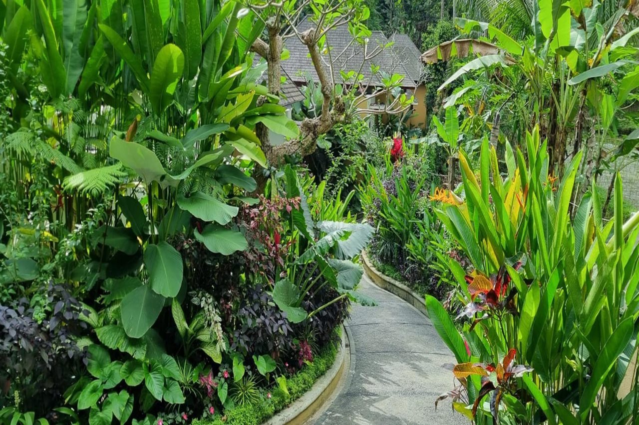 The Sebali Resort