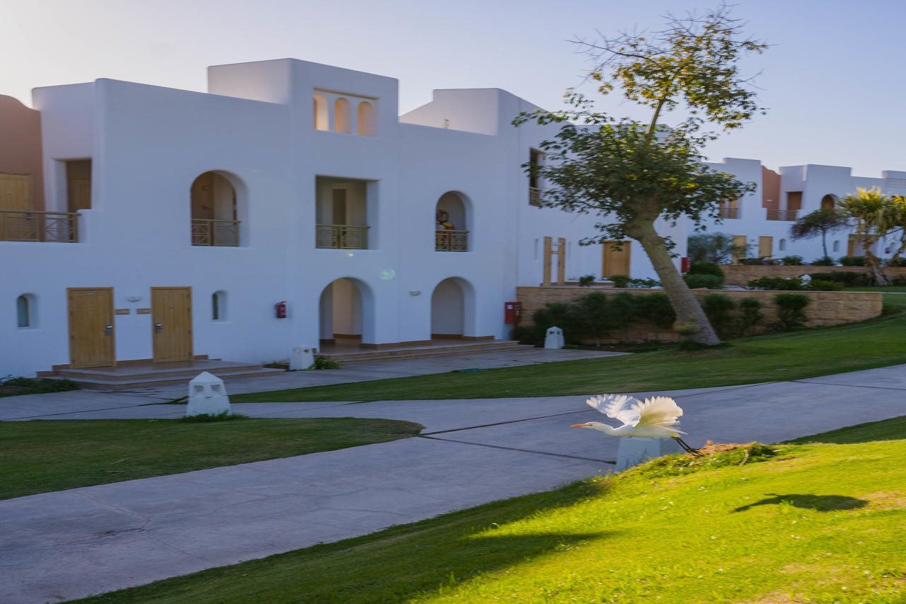 Hotellbilder av Novotel Sharm El Sheikh Palm Side - nummer 1 av 65