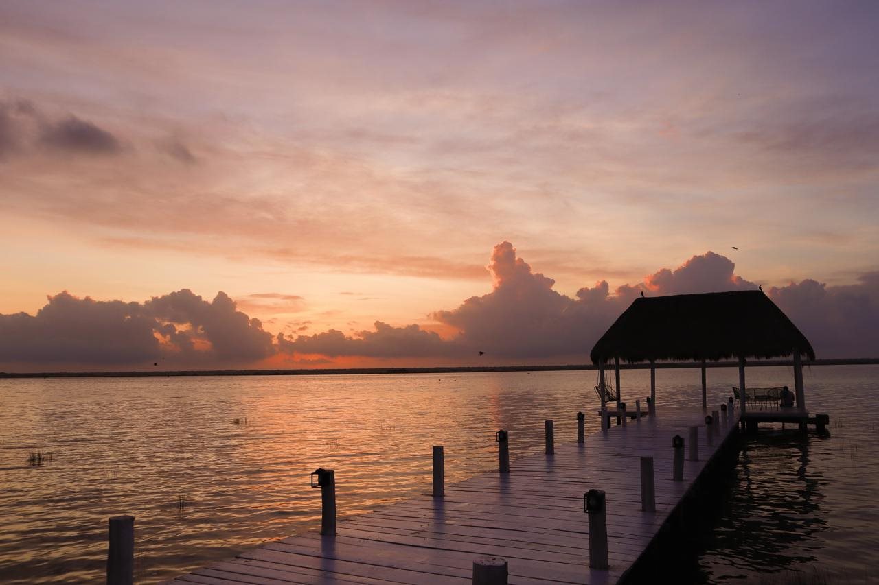 Royal Palm Bacalar