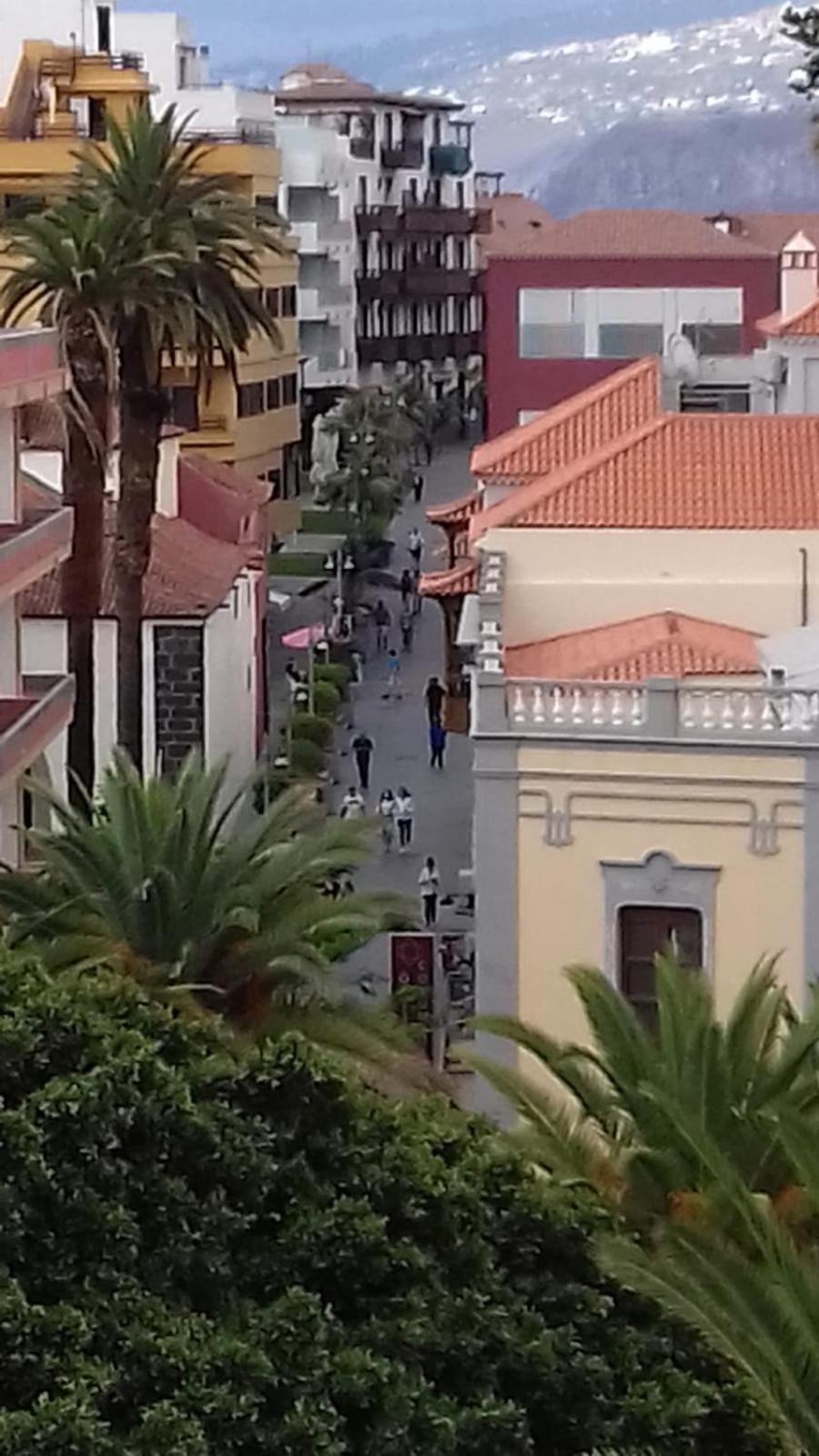 Hotel Tropical