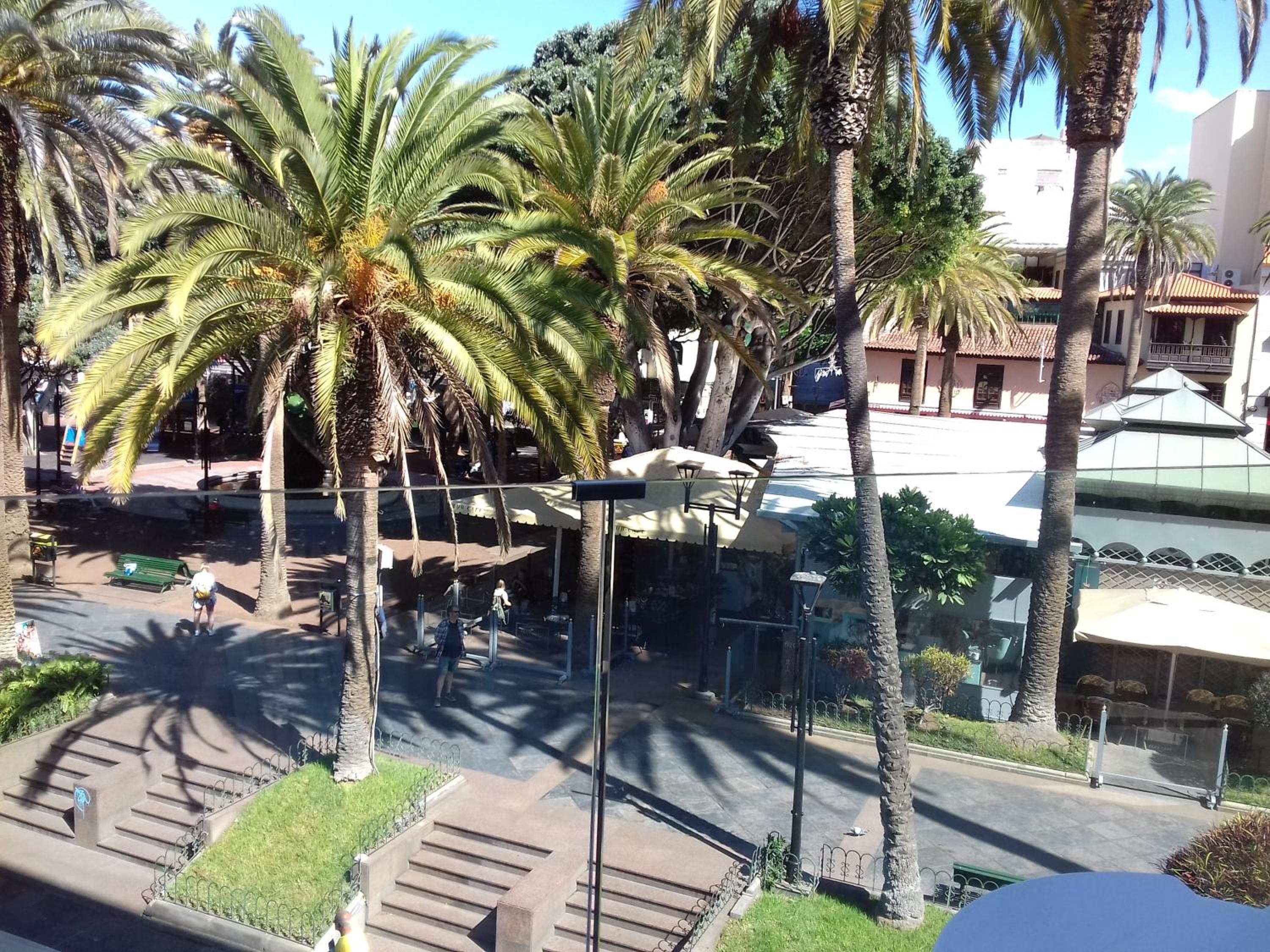 Hotel Tropical
