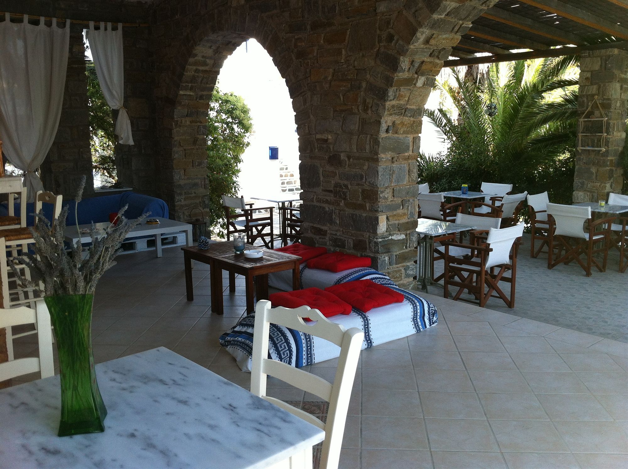 Arokaria Dreams
