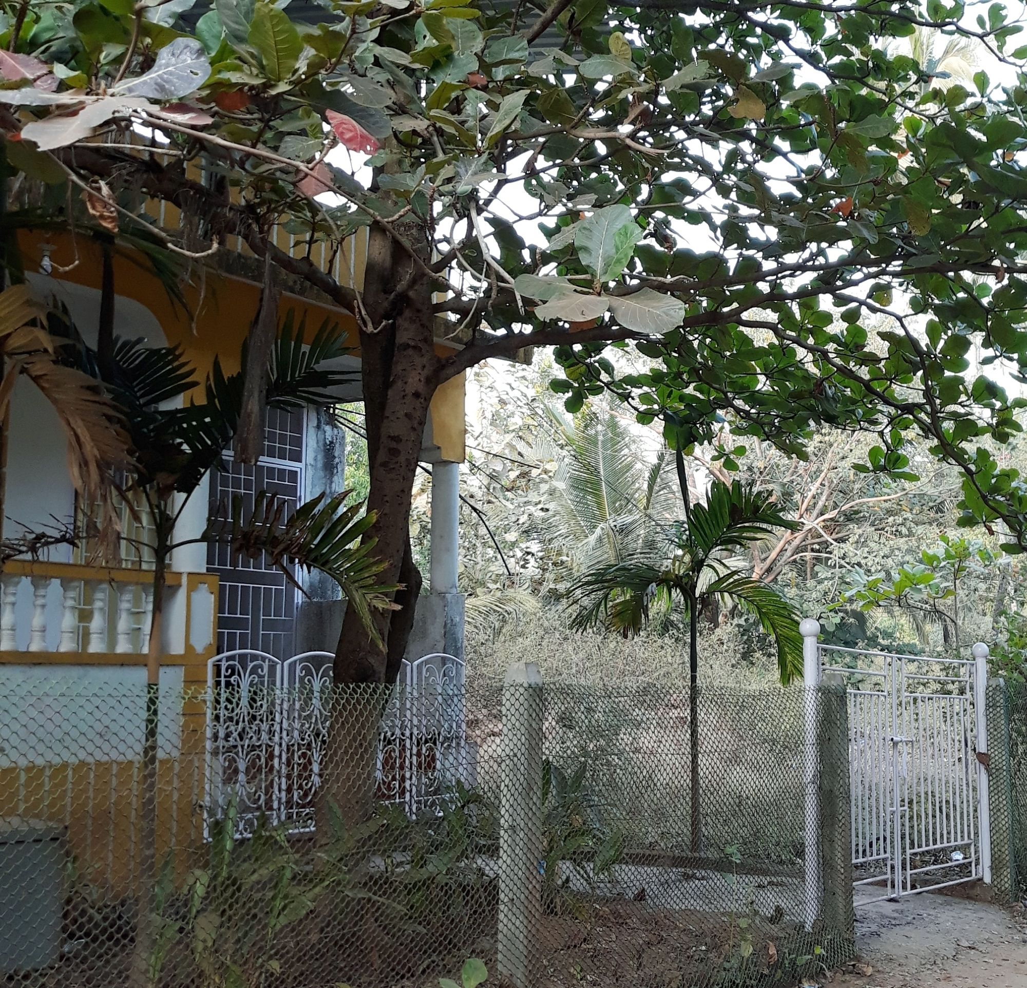 Side Image 1
