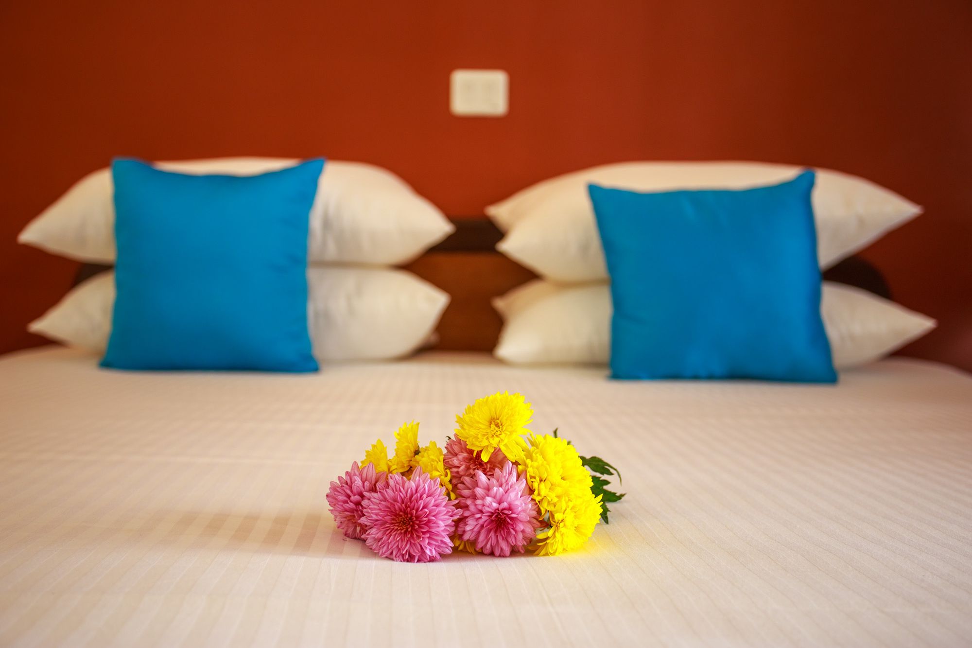 The Ayali Rishikesh