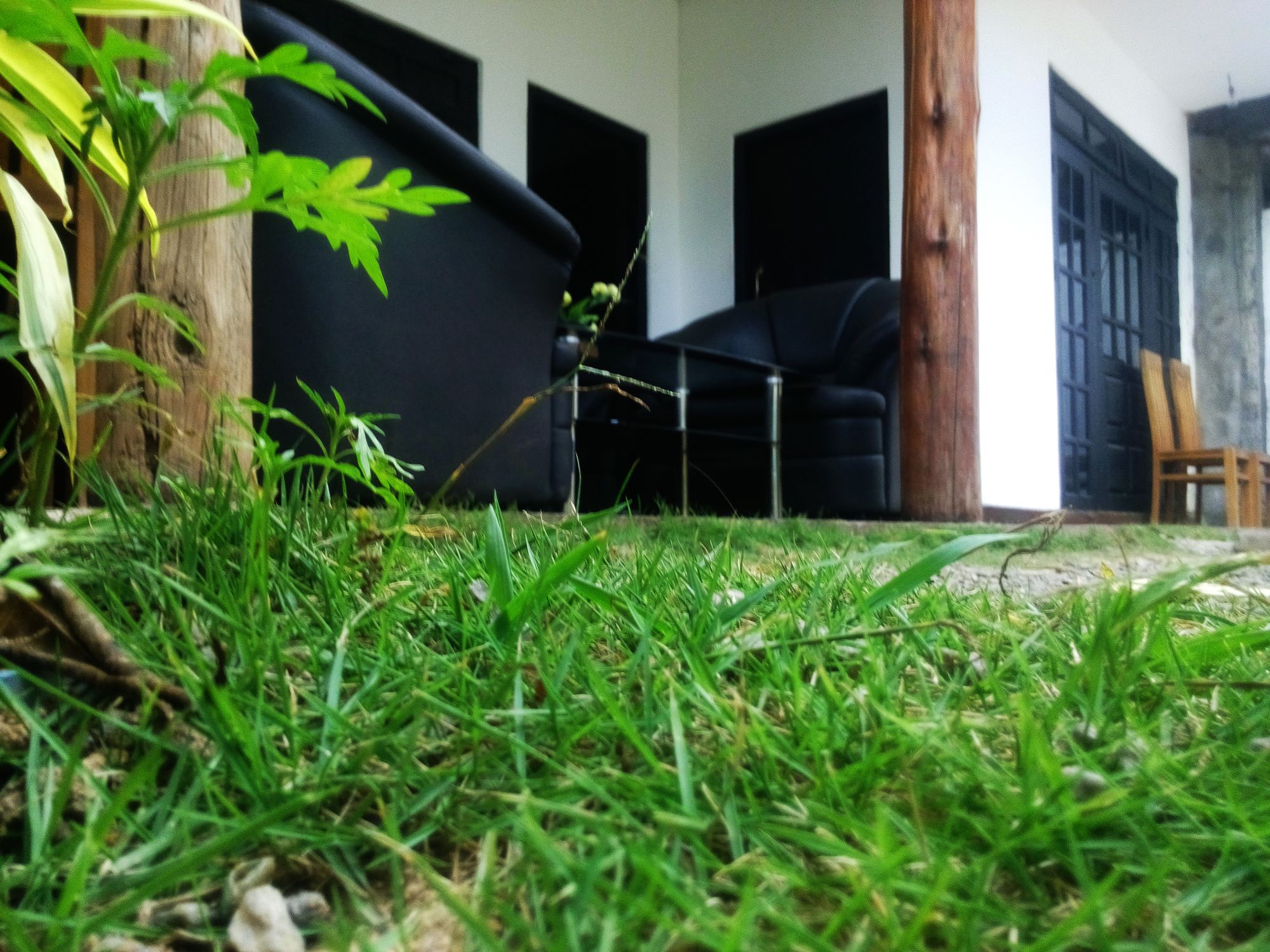 Summer Villa
