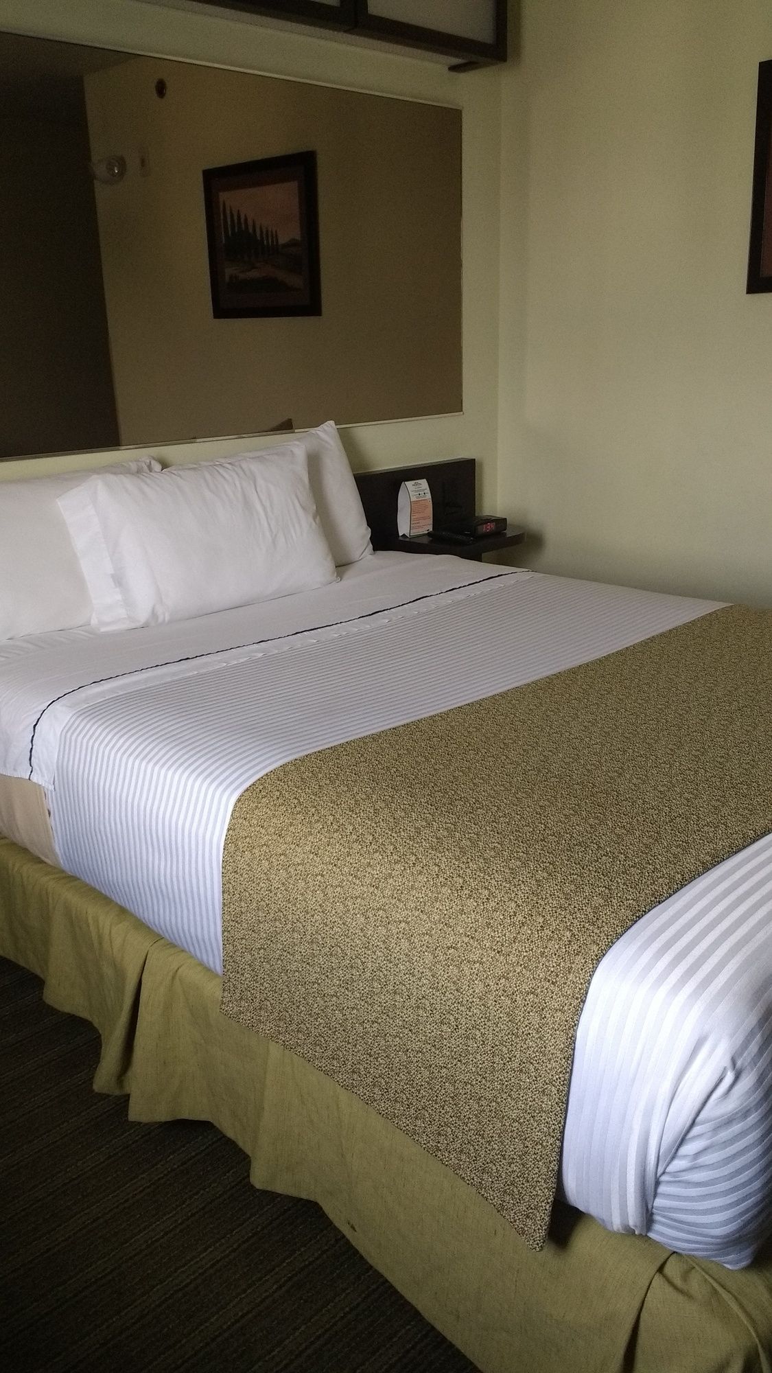 Microtel Inn and Suites by Wyndham Toluca in Lerma!