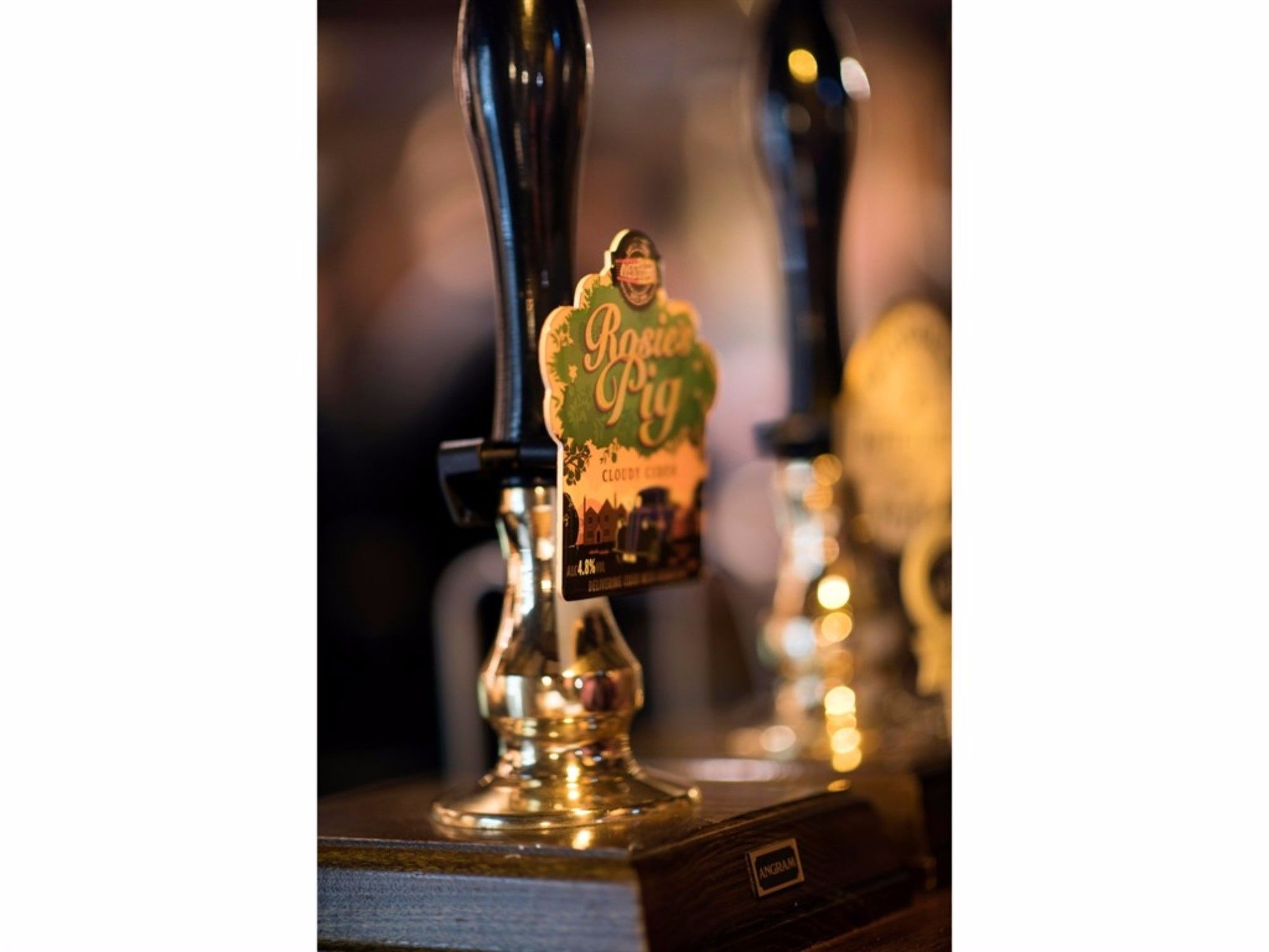 The Dolphin Inn