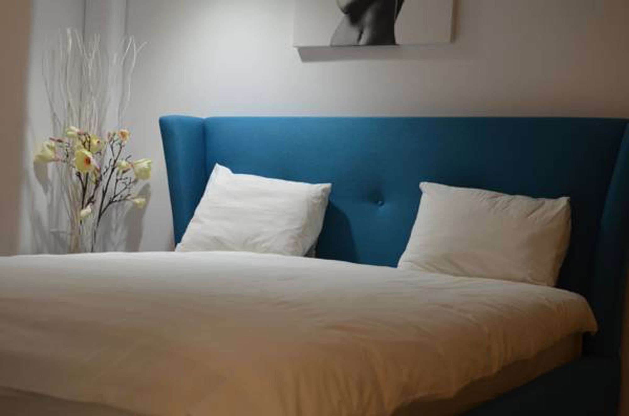 Palace Luxury Apartment