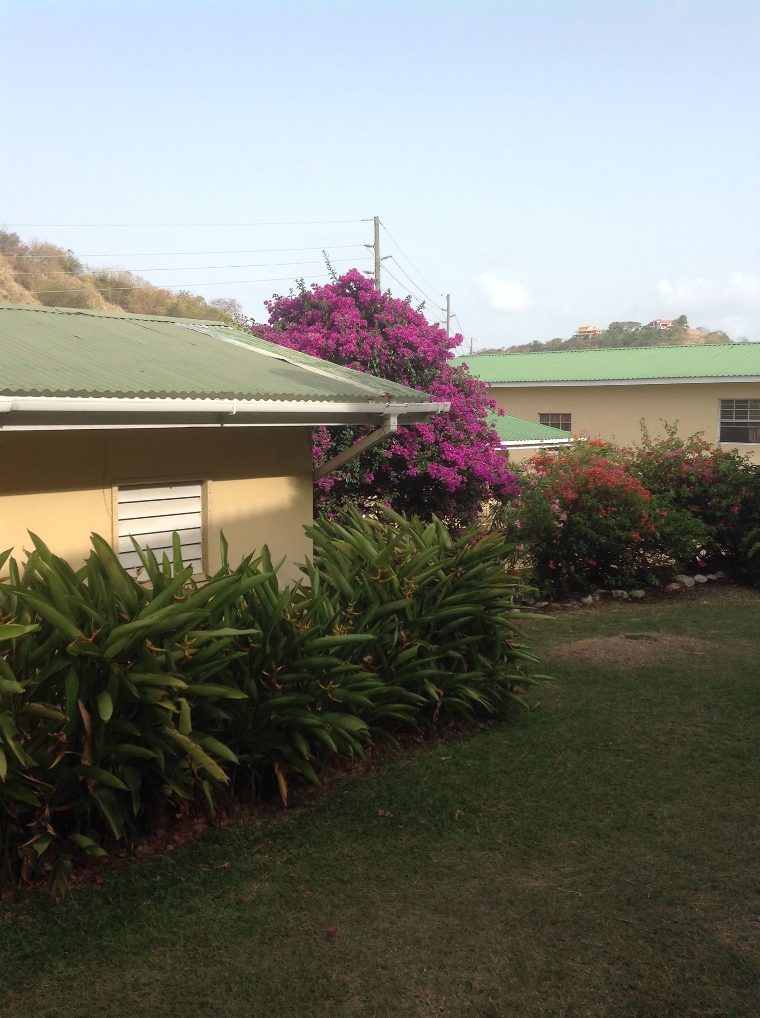 Wave Crest Holiday Apartments