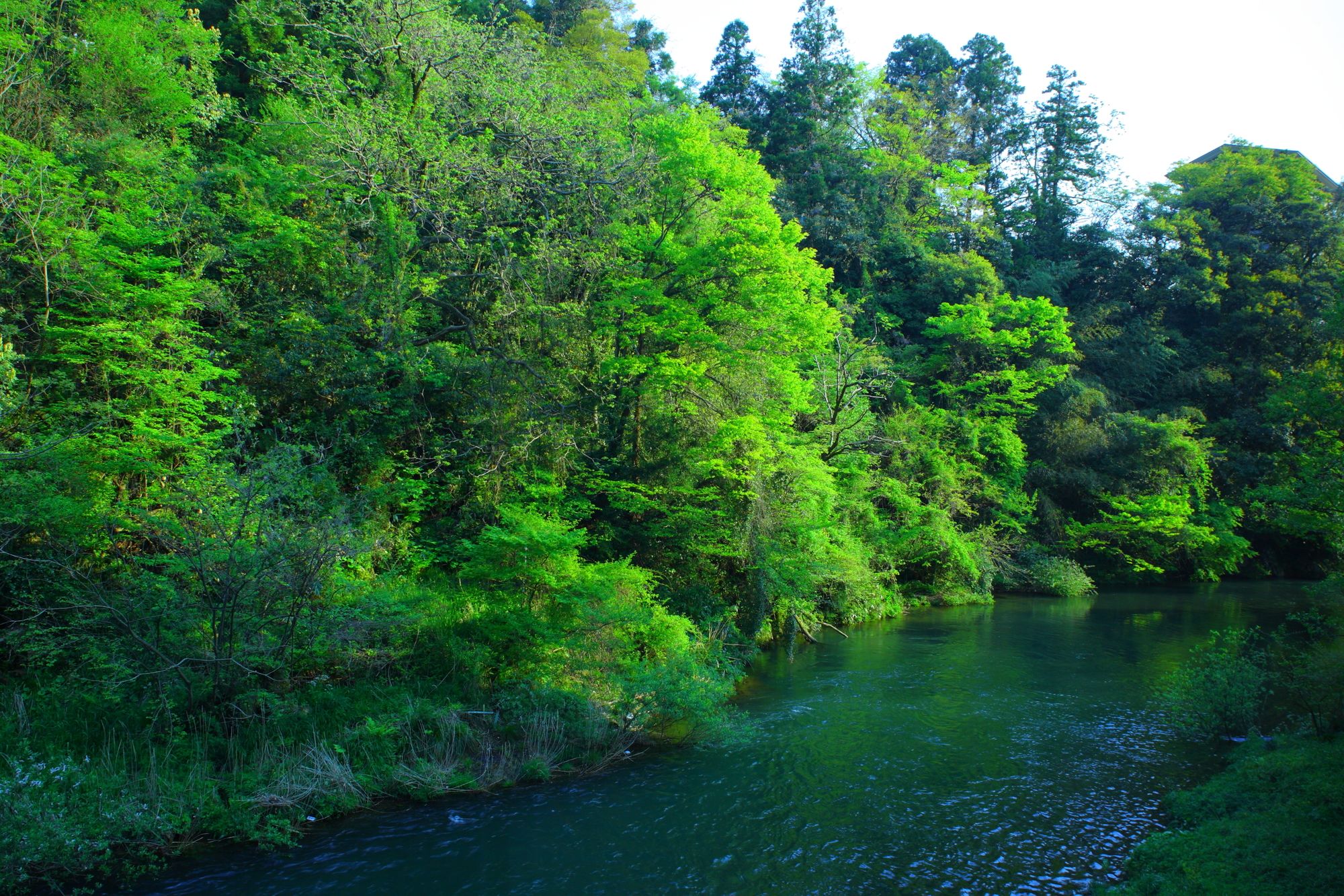 Yamanaka Onsen Ohanami Kyubei