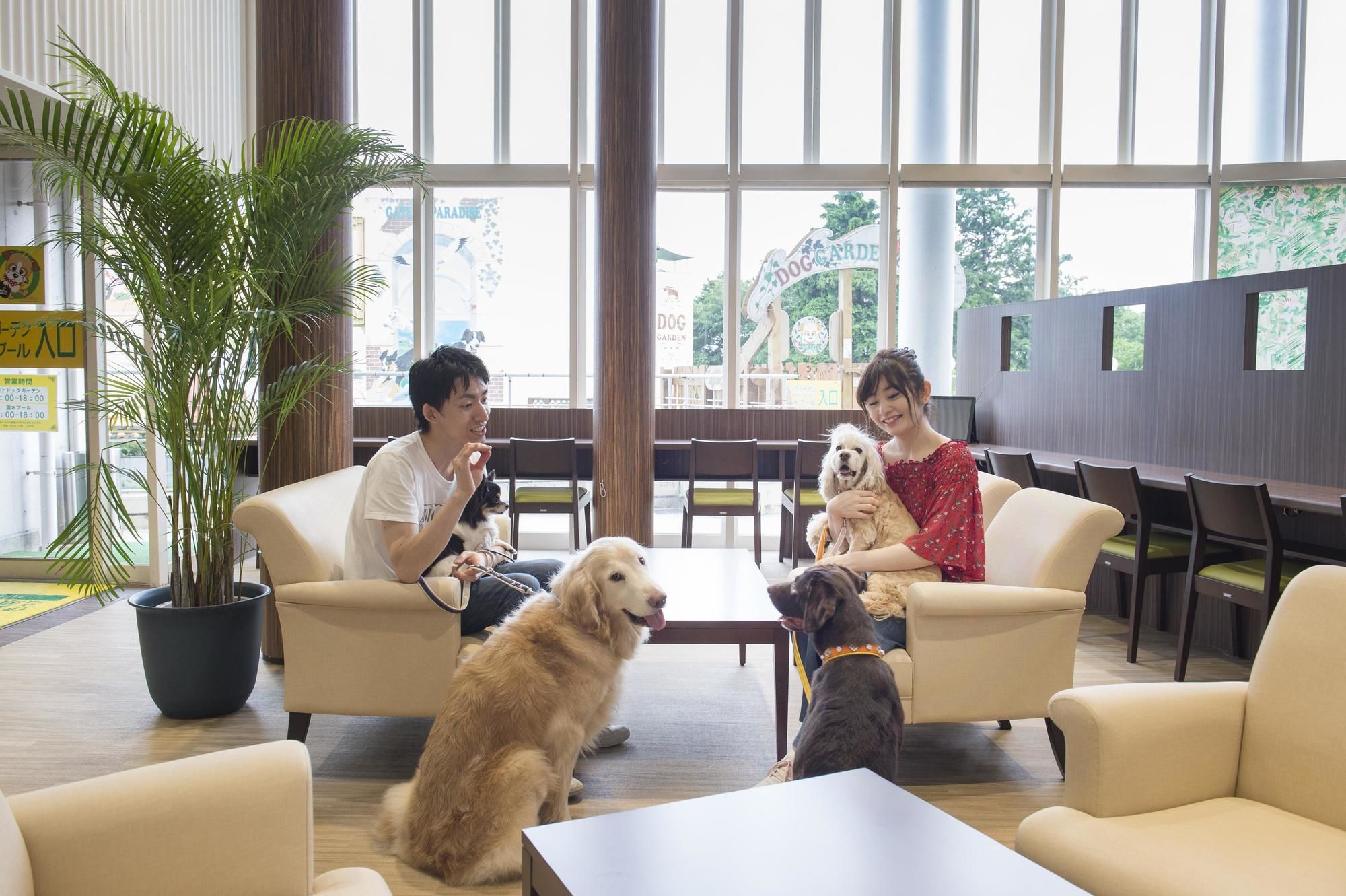 Izukogen Wanwan Paradise Hotel