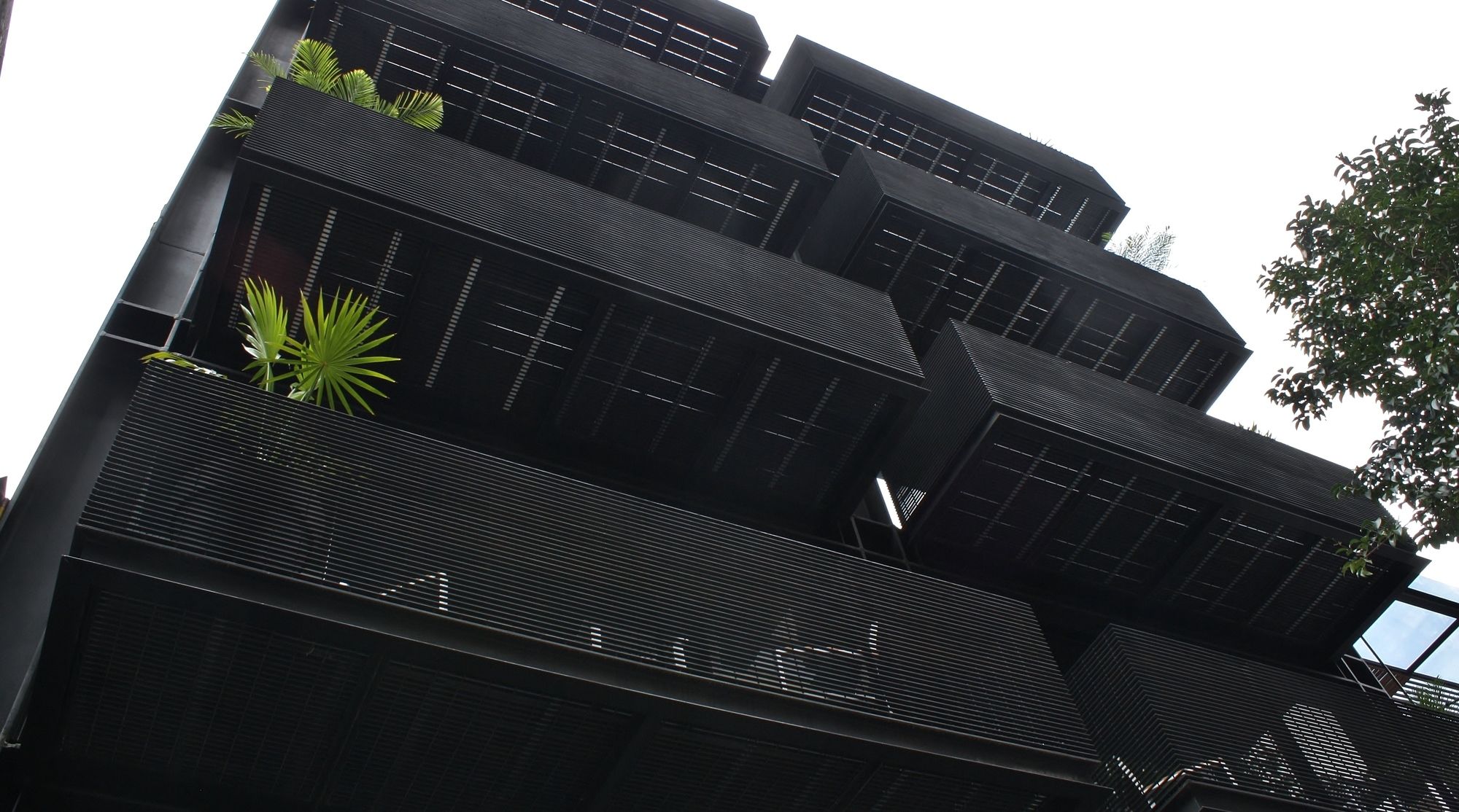 MX Grand Suites