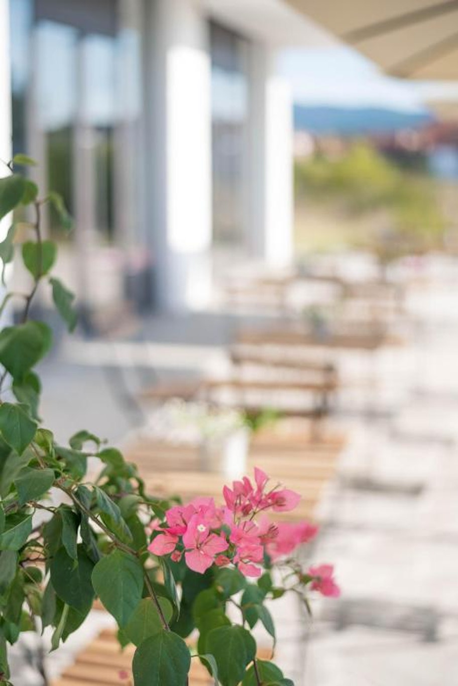 Aloha Hotel Nis