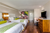 Hotel Indigo Anaheim Maingate in Garden Grove!