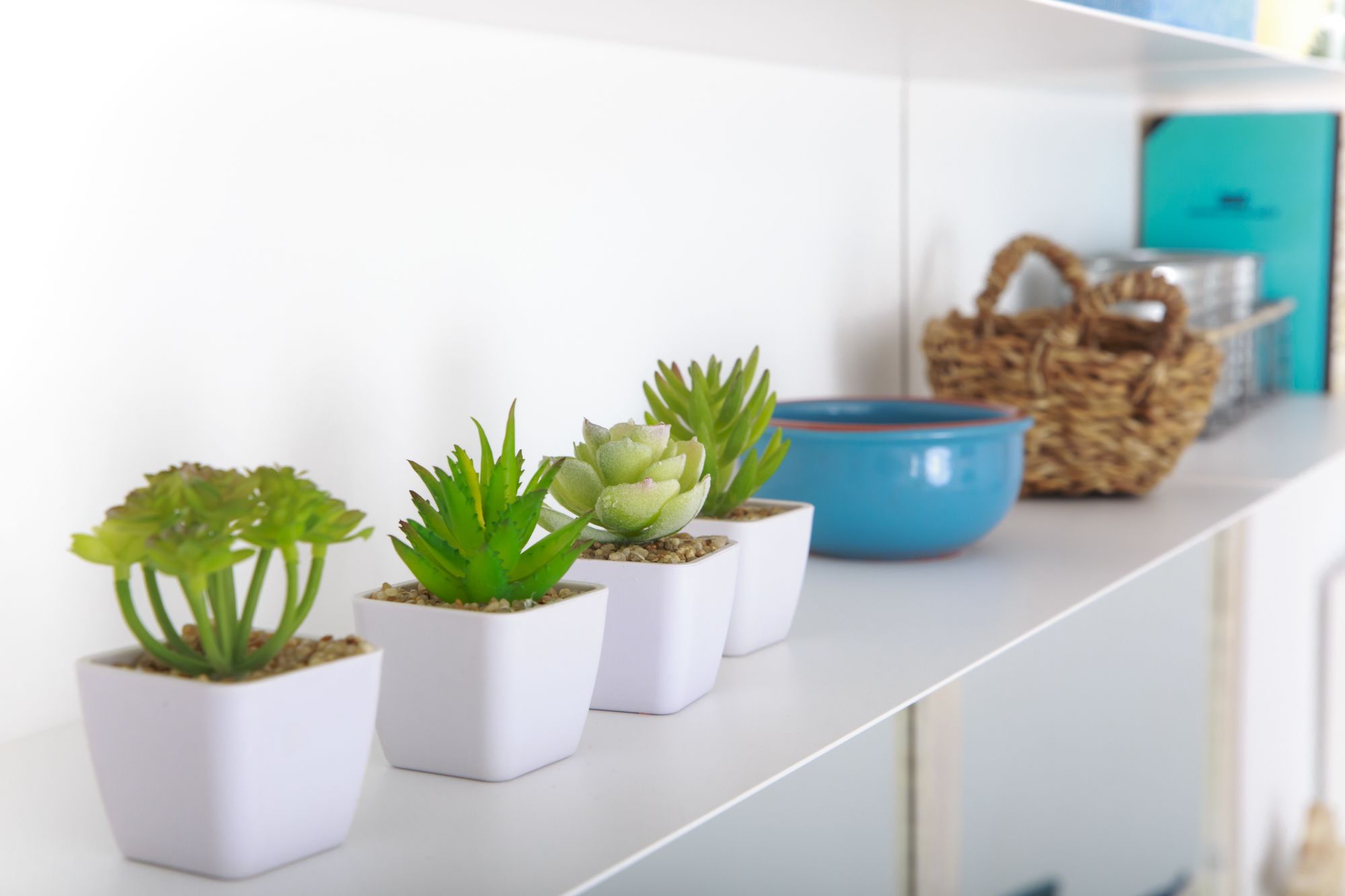 Sea & Wave Buena Ventura