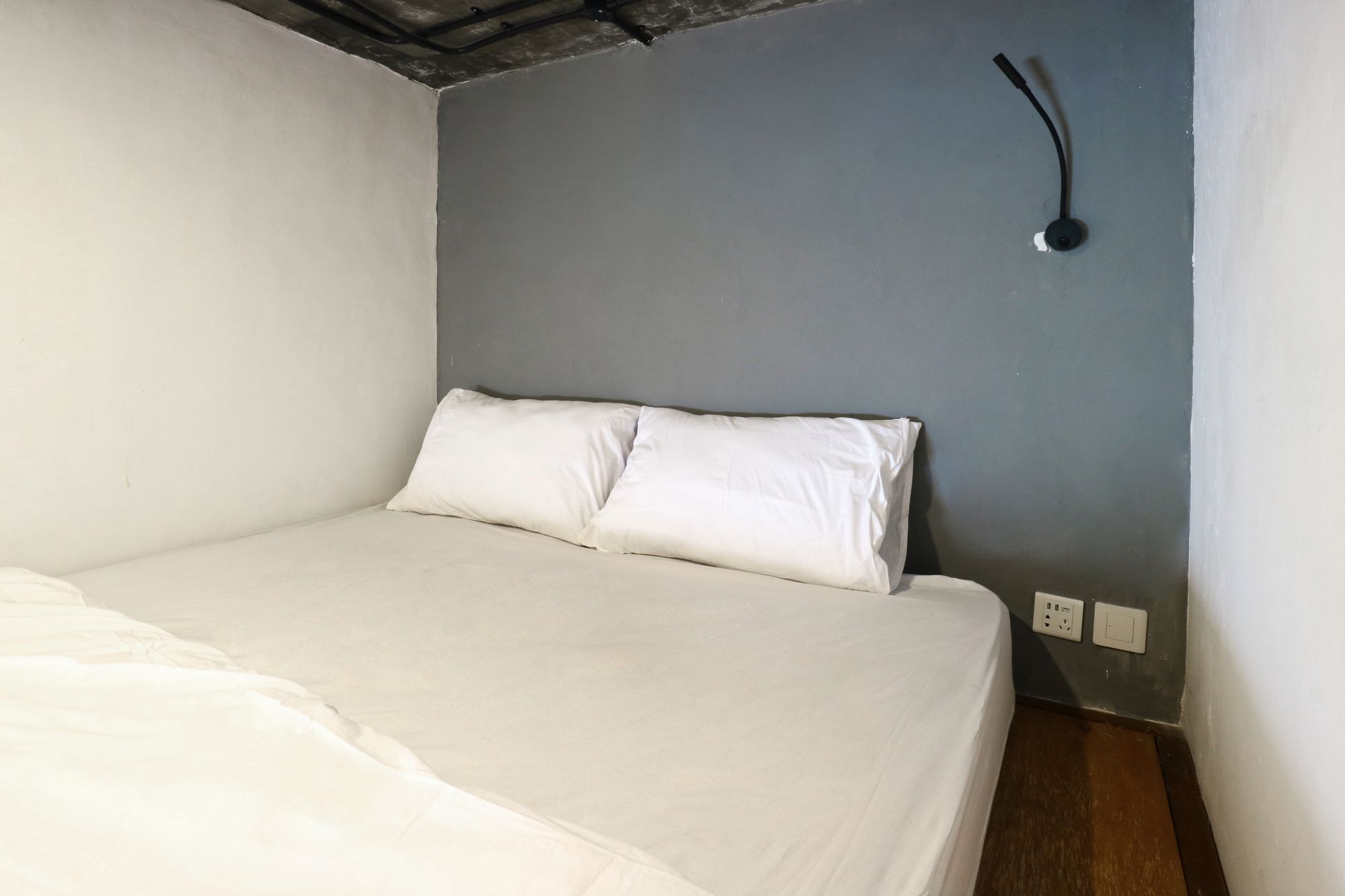 Tribe Theory - Startup House