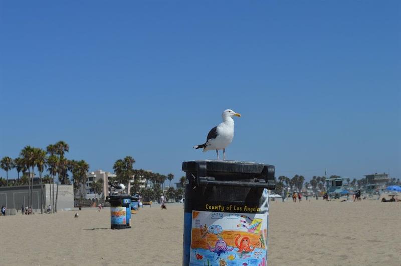 Hotellbilder av Jolly Roger Hotel - nummer 1 av 10