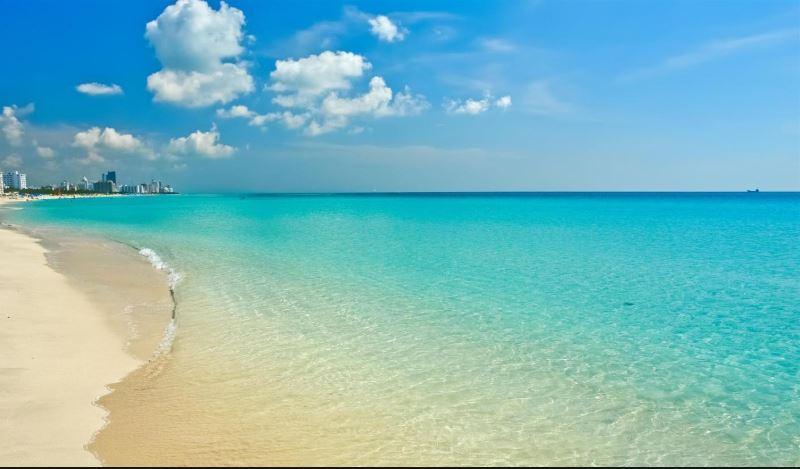 Hotellbilder av Hotel Trouvail Miami Beach - nummer 1 av 10