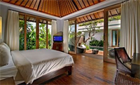 The Akasha Bali