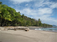 Vista Hermosa Boutique B&B photo 2
