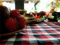 Gunung Merta Bungalows