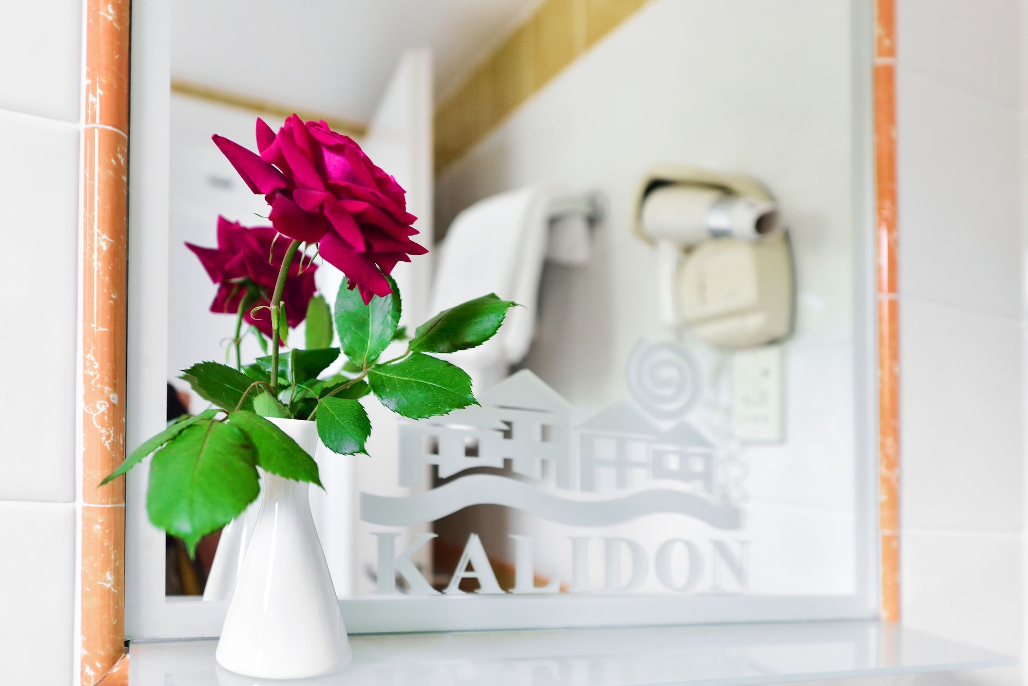 Hotel Kalidon Panorama Hotel, Griechenland, Kokkari. Großes 2