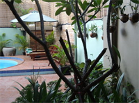 La Villa du Bonheur