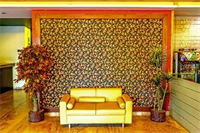 Zo Rooms Adarsh Nagar