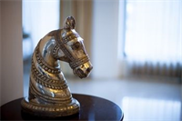 Hotel Ramada by Wyndham Udaipur Resort and Spa, Indien, Udaipur. Großes 2