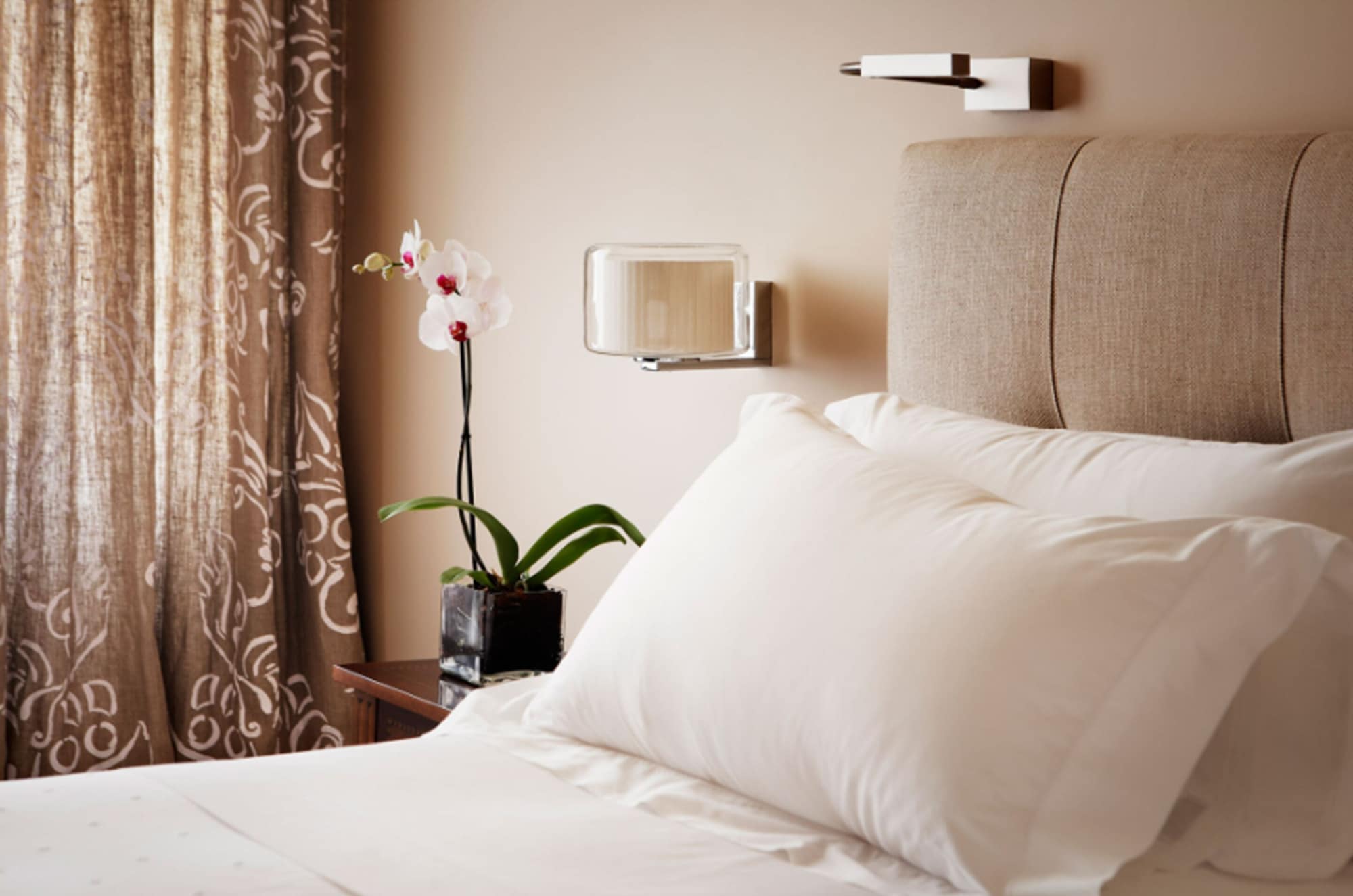 Hotel Rector