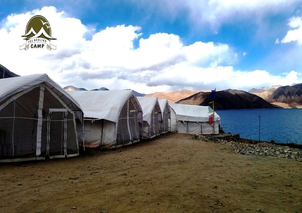 The Norling Camp - Pangong