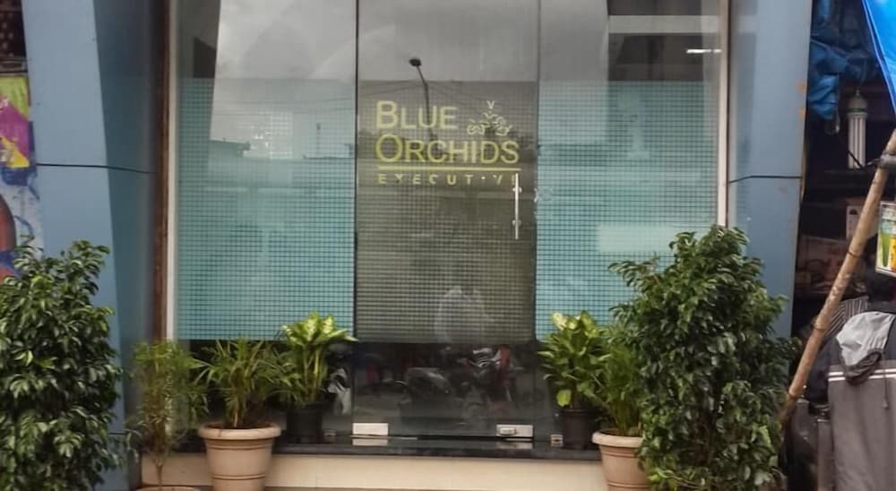 Blue Orchids Executive