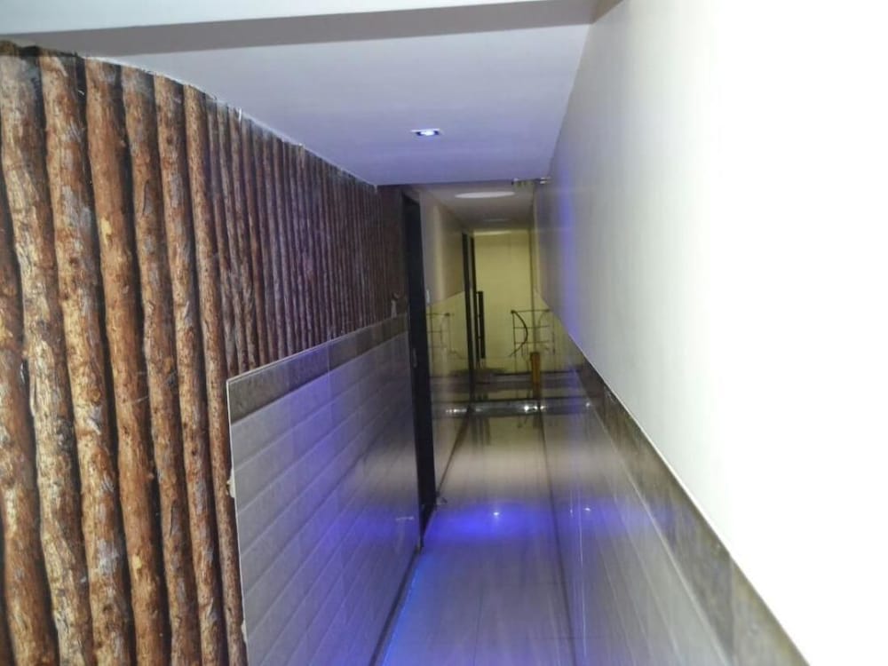 Blue Orchids Executive