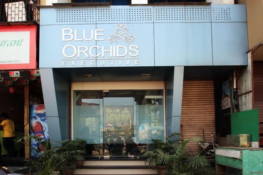 Blue Orchids Executive