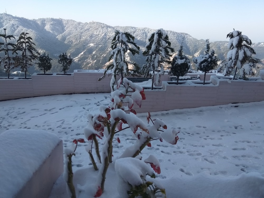 Spangle Heights - Shimla, Suites & Residences