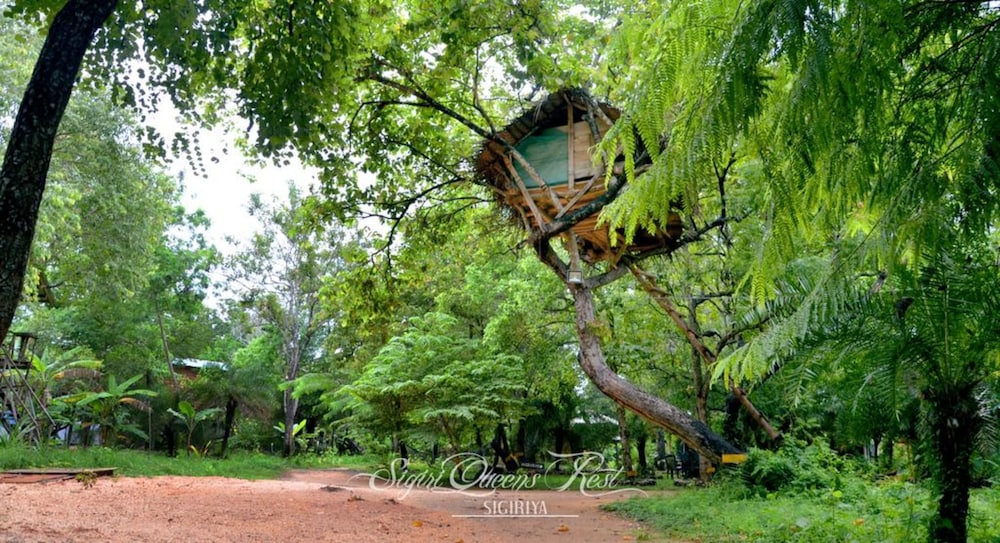 Tree house sigiri queens rest