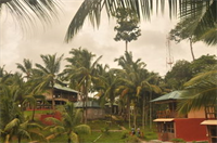 Wild Grass Resort Photo 5