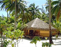 Eden Beach photo 5