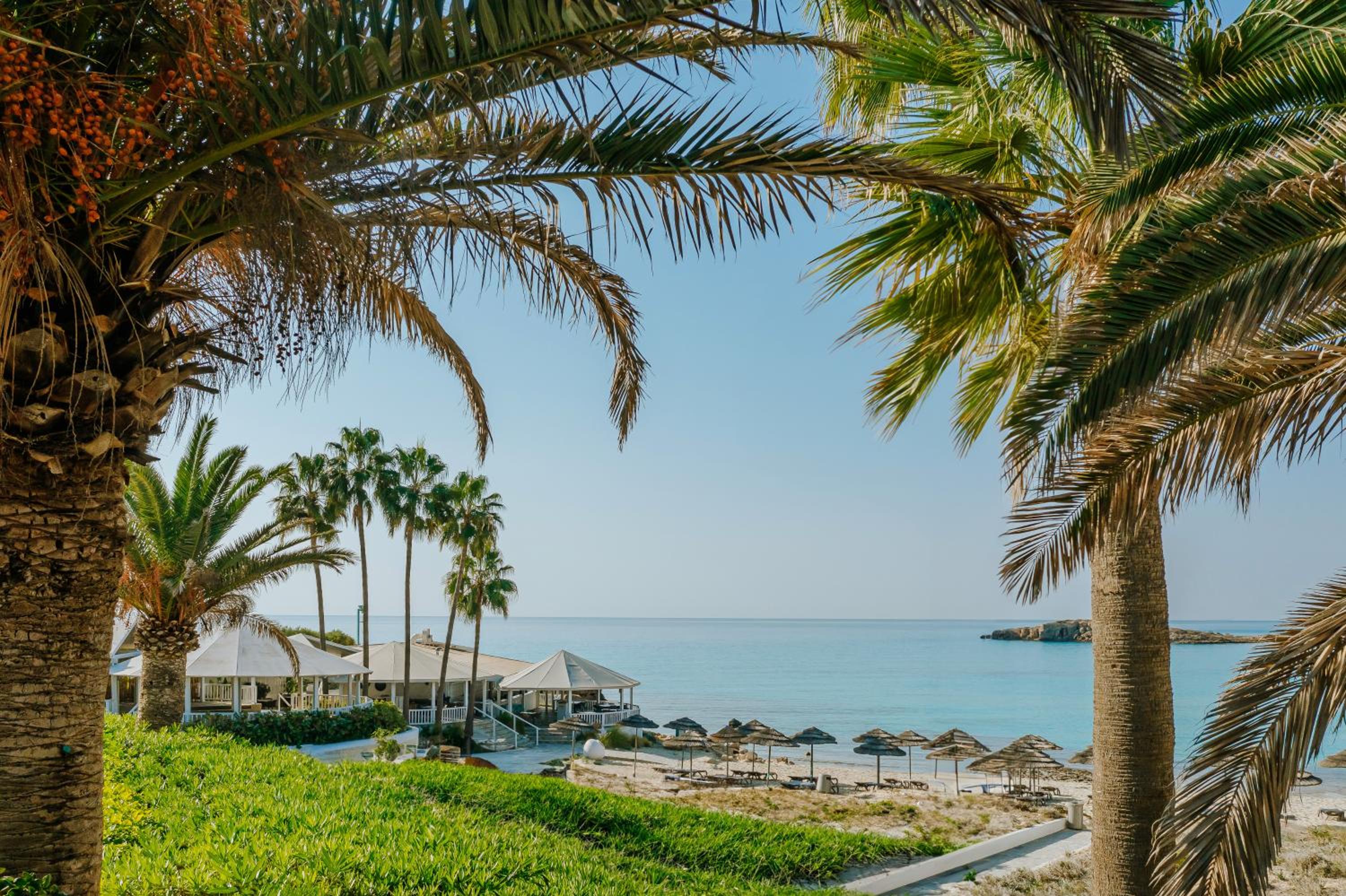 Billede av hotellet Nissi Beach Resort - nummer 1 af 10