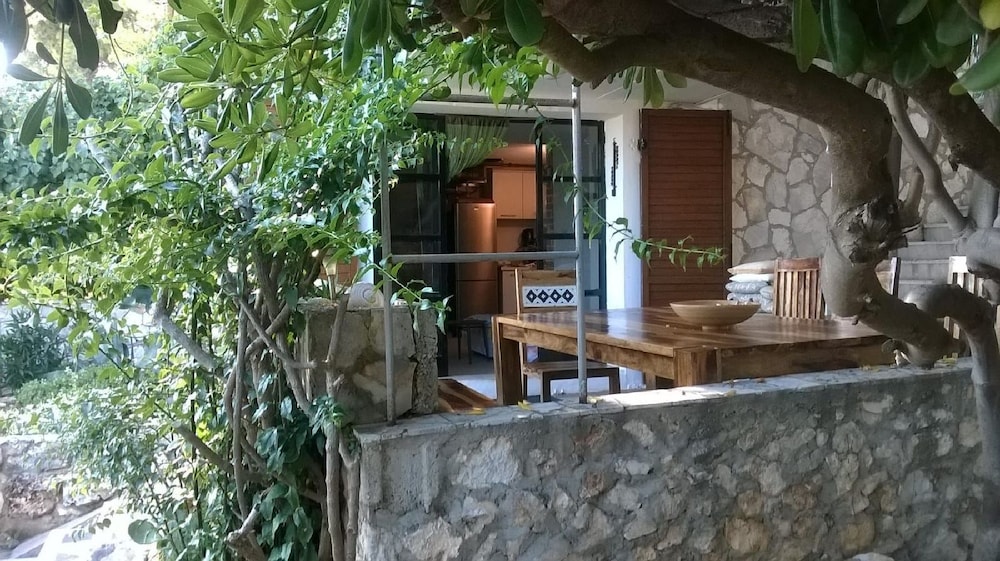 House Renato [VR]