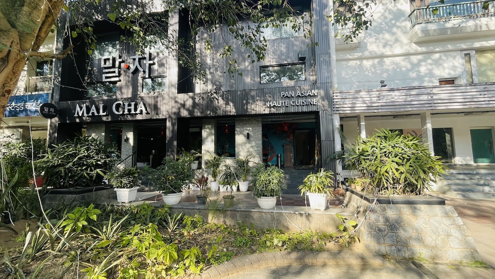 Saltstayz Malcha - Chanakyapuri