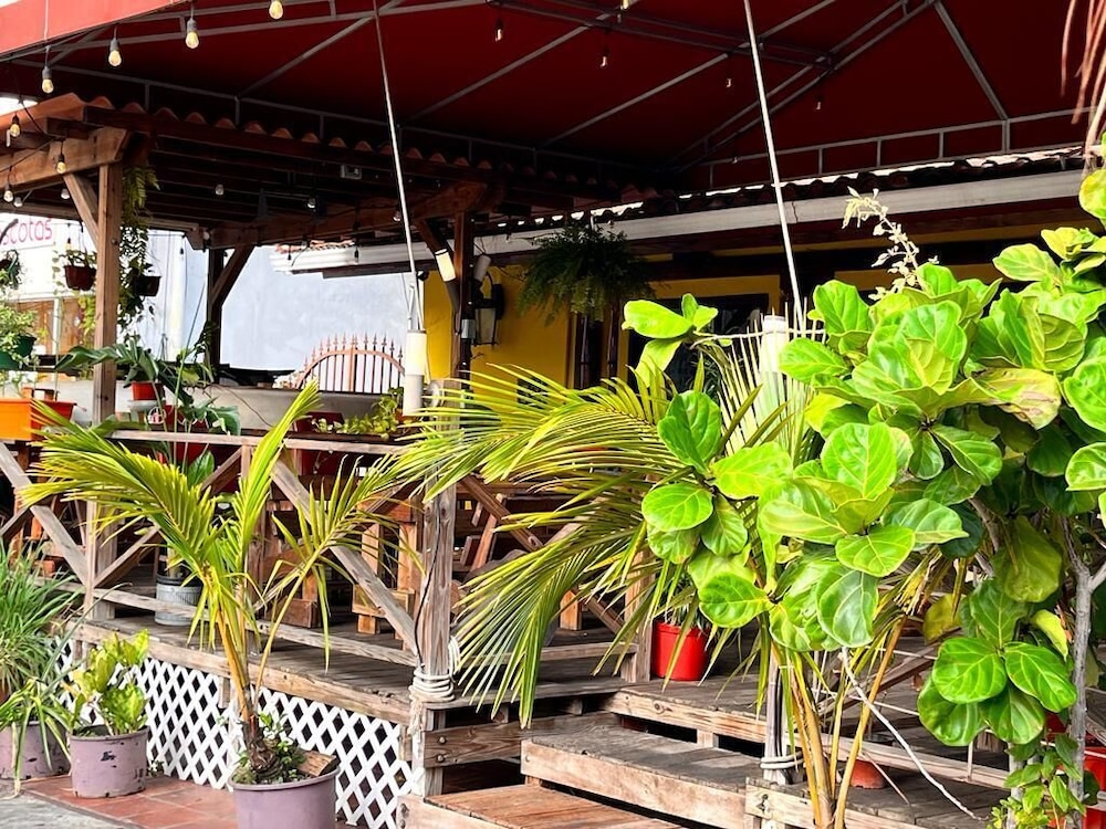 Panama House Bed & Breakfast