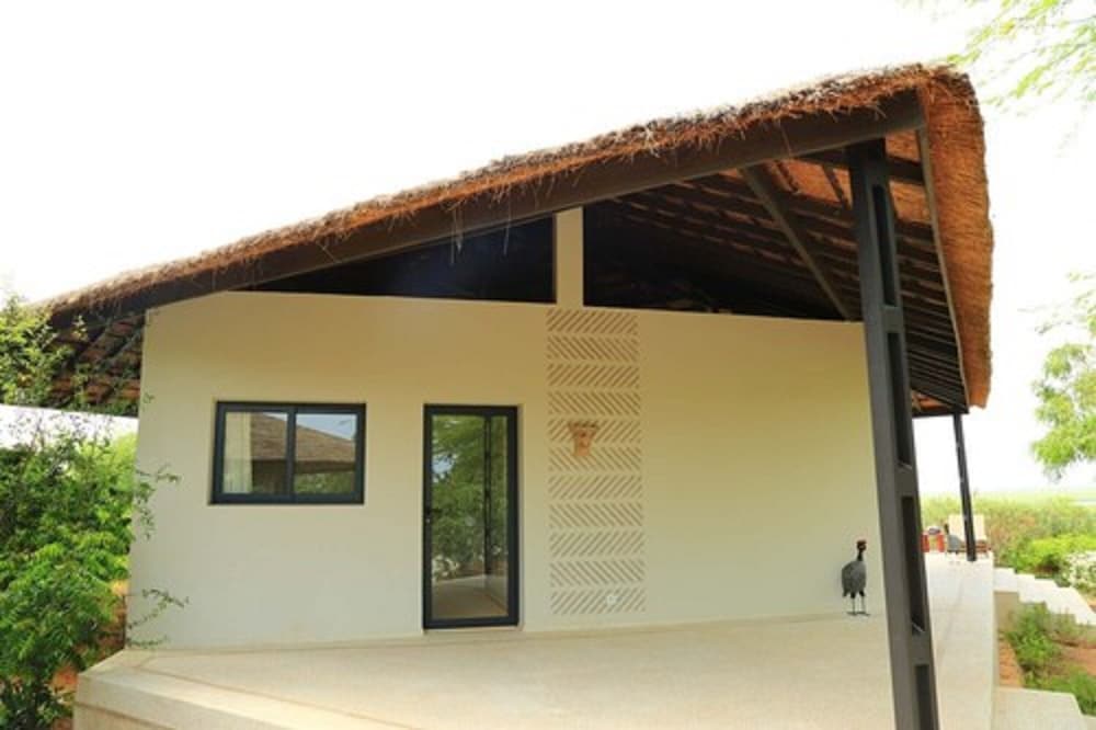 Les Manguiers De Guereo